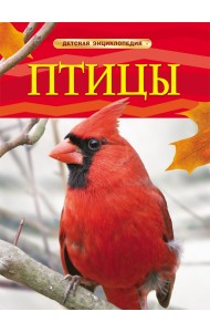 Птицы. Детская энциклопедия
