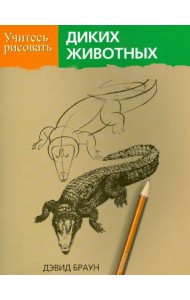 Учитесь рисовать диких животных