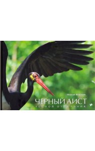 Белый аист. Посланец неба. Черный аист. Лесной отшельник