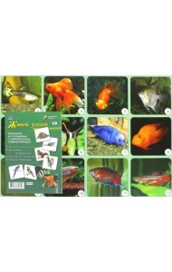 Живой уголок. Комплект из 4 плакатов с методическим сопровождением. ФГОС ДО