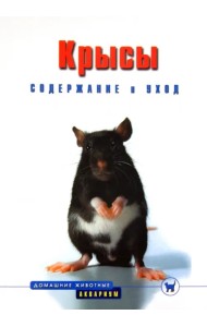 Крысы. Содержание и уход