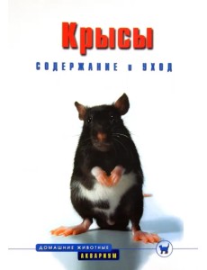 Крысы. Содержание и уход