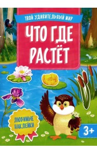 Что где растет. Многоразовые наклейки