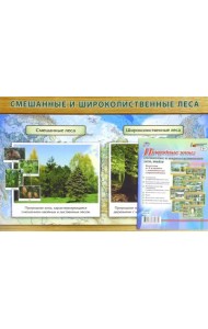 Природные зоны: смешанные и широколиственные леса, тайга. Комплект из 8 плакатов с методическим сопровождением. ФГОС