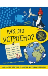 Как это устроено?