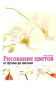 Рисование цветов от бутона до листьев