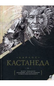 Дар Орла. Огонь изнутри. Сила безмолвия. Искусство сновидения. Активная сторона бесконечности. Том 2