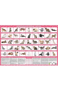 Домашние питомцы. Кошки. Настольное издание