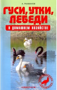 Гуси, утки, лебеди в домашнем хозяйстве. Содержание и разведение