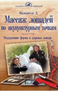 Массаж лошадей по акупунктурным точкам. Поддержание формы и здоровья лошади