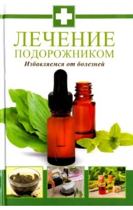 Лечение подорожником. Избавляемся от болезней