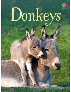 Donkeys
