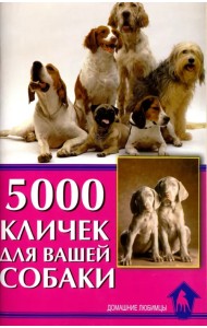 5000 кличек для вашей собаки