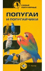 Самые популярные попугаи и попугайчики
