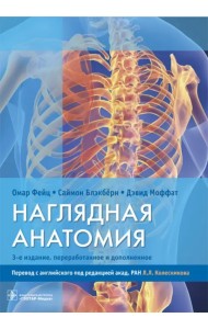 Наглядная анатомия