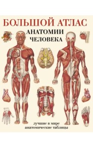 Большой атлас анатомии человека. Лучшие в мире анатомические таблицы