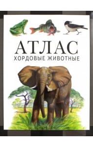 Хордовые животные. Атлас