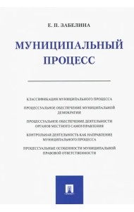 Муниципальный процесс