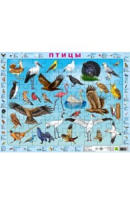 Пазл на подложке. Птицы, 63 элемента