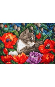 Живопись на холсте. Кот в маках, 30x40 см