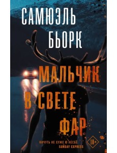 Мальчик в свете фар Мальчик в свете фар