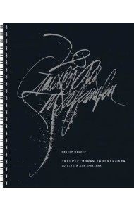 Экспрессивная каллиграфия. 20 стилей для практики