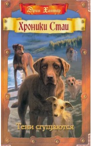 Тени сгущаются