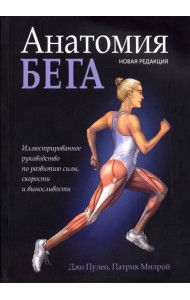 Анатомия бега