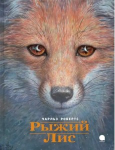 Рыжий лис Рыжий лис