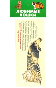 Любимые кошки. 25 карточек