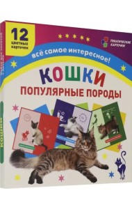 Самые популярные породы кошек: 12 карточек с изображением. ФГОС. ФГОС ДО