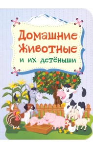 Домашние животные и их детёныши