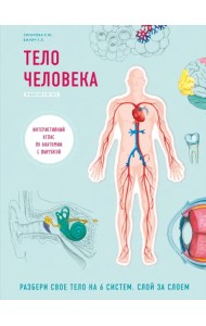 Тело человека. Интерактивный атлас по анатомии с вырубкой. Разбери свое тело на 6 систем