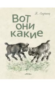 Вот они какие