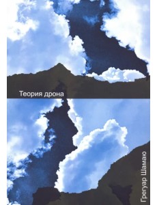 Теория дрона