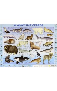 Детский пазл на подложке. Животные Севера, 63 элемента
