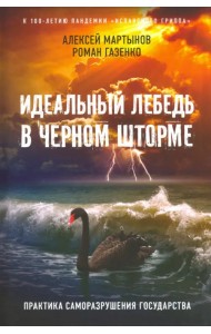 Идеальный лебедь в черном шторме. Практика саморазрушения государства
