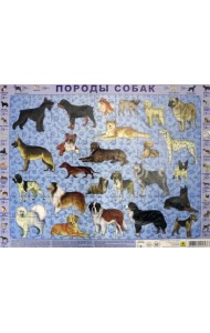 Детский пазл на подложке. Породы собак, 63 элемента