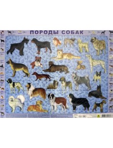 Детский пазл на подложке. Породы собак, 63 элемента