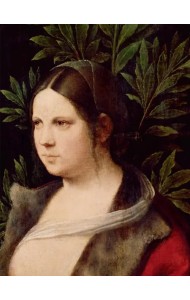 Венецианская палитра. Мир частного человека в искусстве Венеции эпохи Возрождения