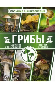 Большая энциклопедия. Грибы. Съедобные и несъедобные. Собираем и готовим
