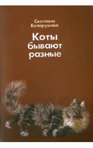 Коты бывают разные