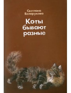 Коты бывают разные Коты бывают разные