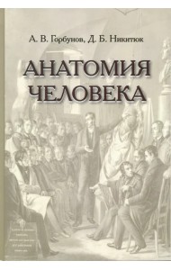 Анатомия человека