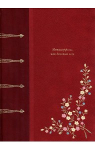 Метаморфозы, или Золотой осел