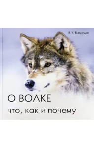 О волке: что, как и почему
