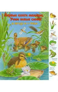 В пруду и у реки. Виммельбух