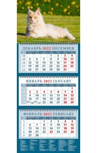 Календарь на 2023 год. Год кота. Приятно полежать на солнышке