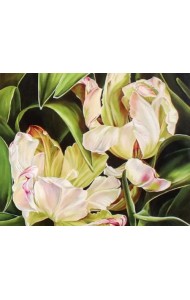 Картина по номерам. Аромат тюльпана