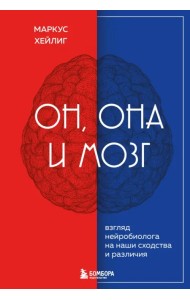 Он, она и мозг. Как пол определяет наше мышление